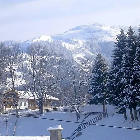 Gaestehaus Roland Apart Otel Kirchberg in Tirol